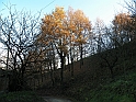 Campagna in autunno 3274
